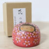 Fumio Tomidokoro Kokeshi Doll Flowers Dream With Box